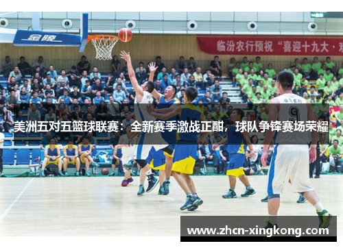 美洲五对五篮球联赛：全新赛季激战正酣，球队争锋赛场荣耀