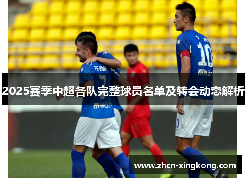 2025赛季中超各队完整球员名单及转会动态解析
