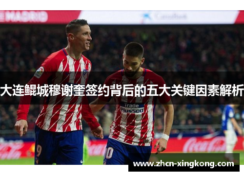 大连鲲城穆谢奎签约背后的五大关键因素解析