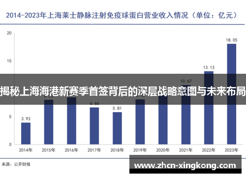 揭秘上海海港新赛季首签背后的深层战略意图与未来布局 揭秘上海海港新赛季首签背后的深层战略意图与未来布局
