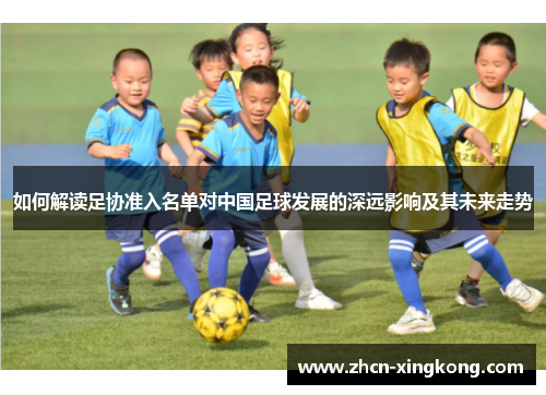 如何解读足协准入名单对中国足球发展的深远影响及其未来走势 如何解读足协准入名单对中国足球发展的深远影响及其未来走势