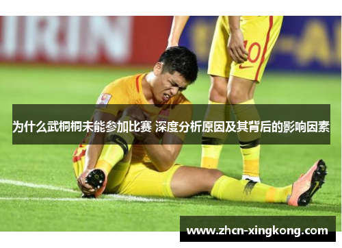 为什么武桐桐未能参加比赛 深度分析原因及其背后的影响因素