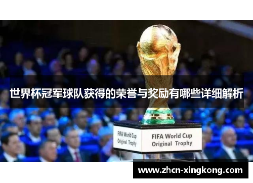 世界杯冠军球队获得的荣誉与奖励有哪些详细解析
