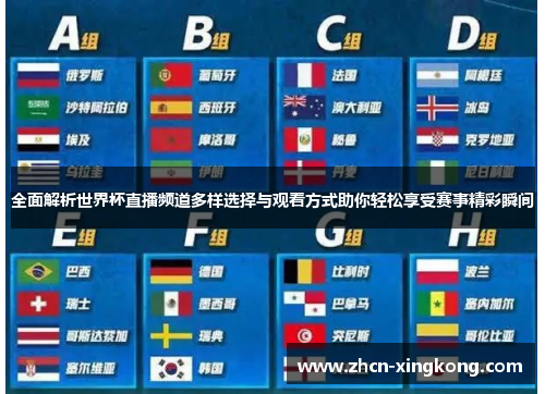 全面解析世界杯直播频道多样选择与观看方式助你轻松享受赛事精彩瞬间